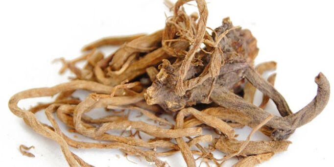 A decoction of root