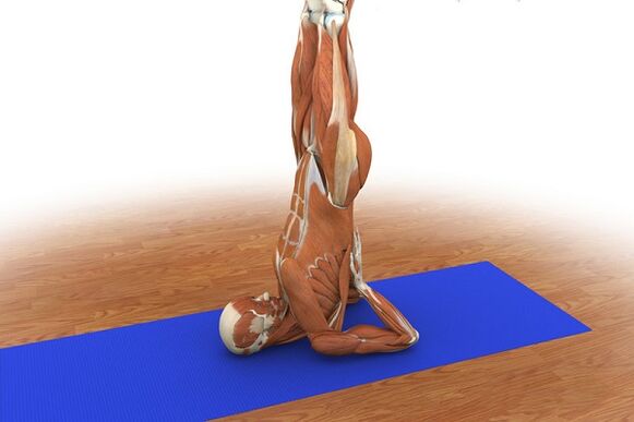 Exercise for potency Birch